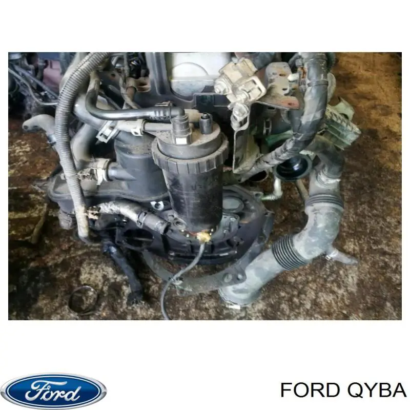 Motor completo Ford QYBA precio, desde 1666,17 EUR