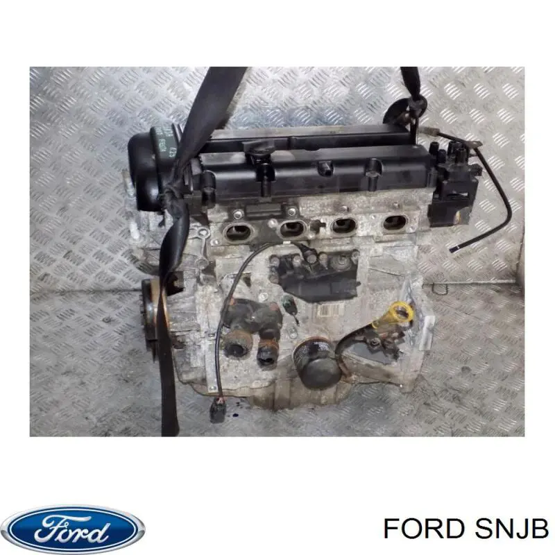 Motor completo Ford SNJB precio, desde 1337,29 EUR