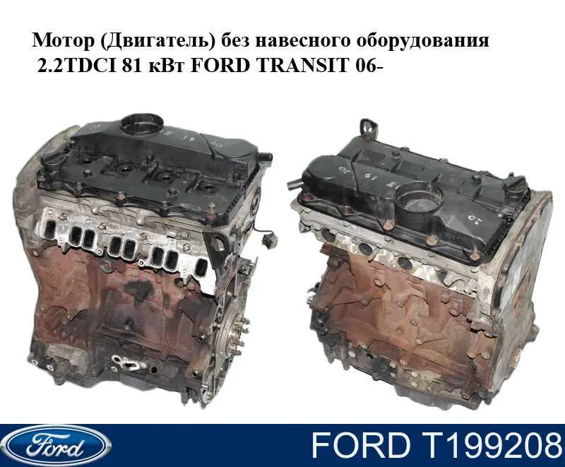 T199208 Ford Tensor de cadena de distribución