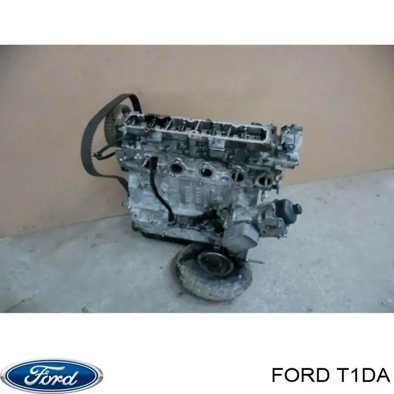 T1DA Ford Motor completo