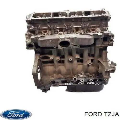 TZJA Ford Motor completo