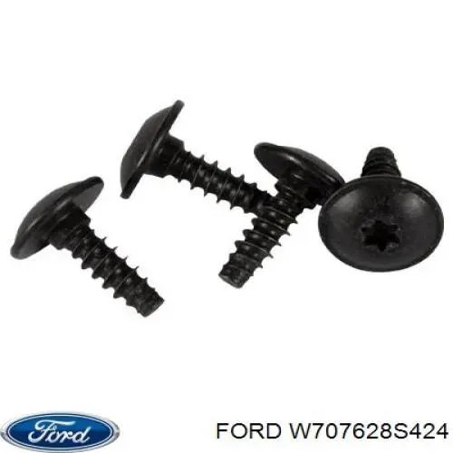 W707628S424 Ford 