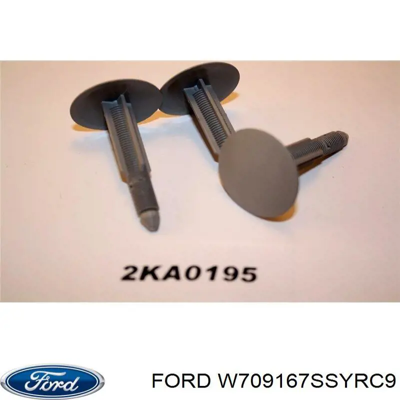 W709167SSYRC9 Ford clips fijación, revestimiento puerta