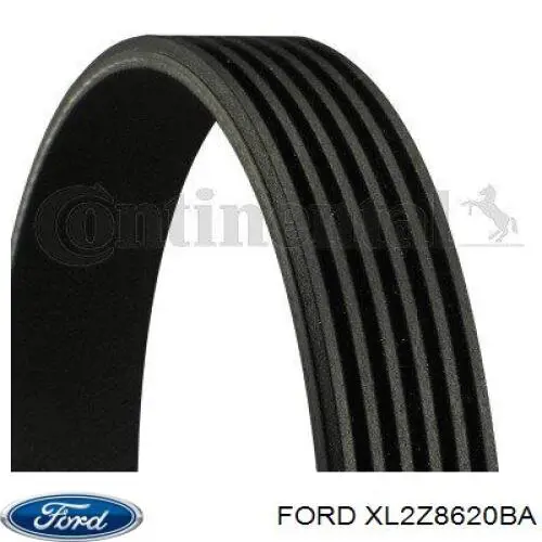 Correa de transmisión trapezoidal Ford XL2Z8620BA precio, desde 28,06 EUR