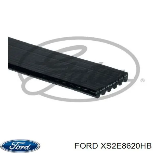 Comprar XS2E8620HB Ford Correa trapezoidal