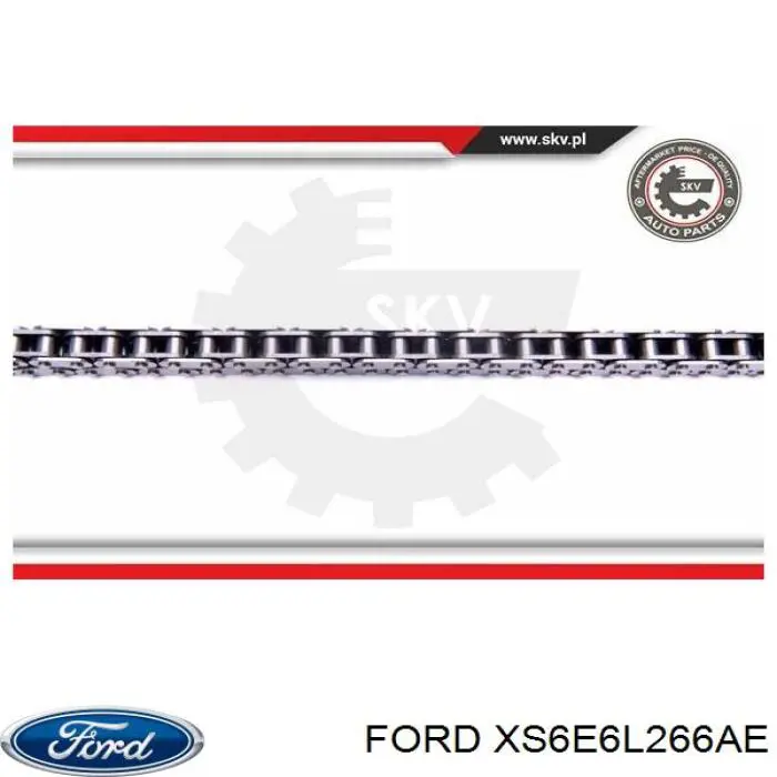 XS6E6L266AE Ford tensor, cadena de distribución