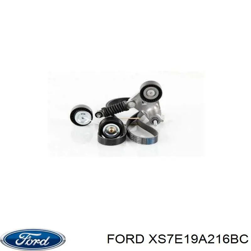 Comprar XS7E19A216BC Ford Polea inversión/guía, correa poli V