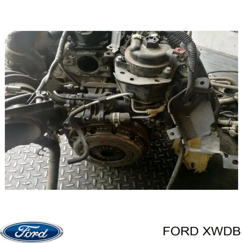 XWDB Ford Motor completo