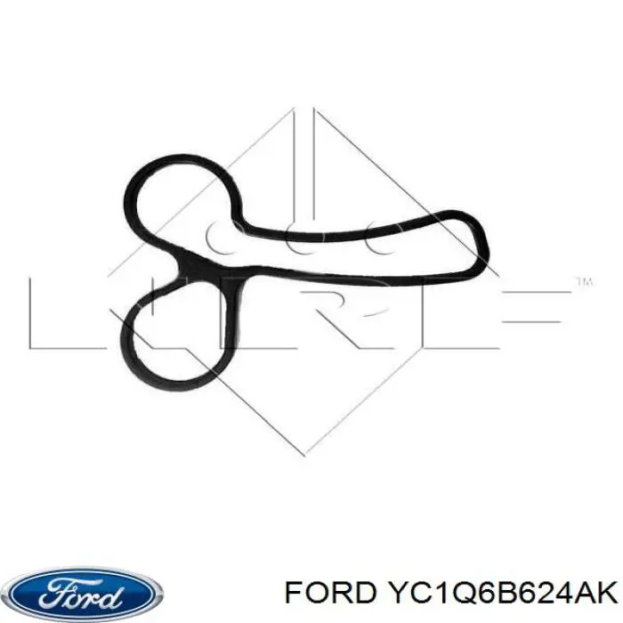 YC1Q6B624AK Ford Portafiltro de aceite