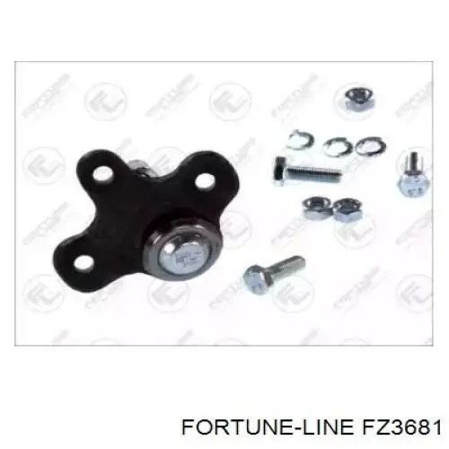 FZ3681 Fortune Line rótula de suspensión inferior derecha