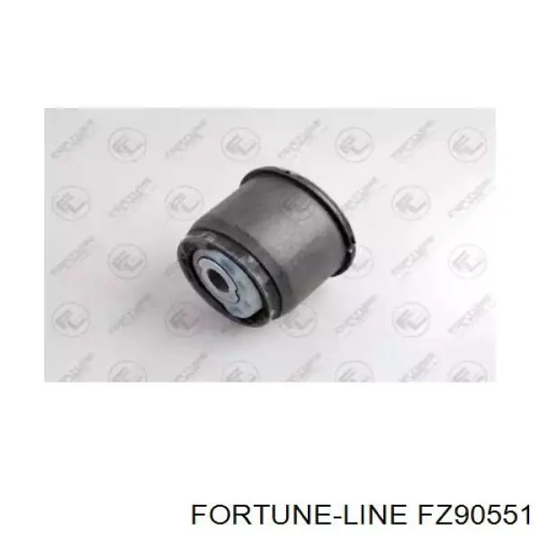 FZ90551 Fortune Line suspensión, cuerpo del eje trasero