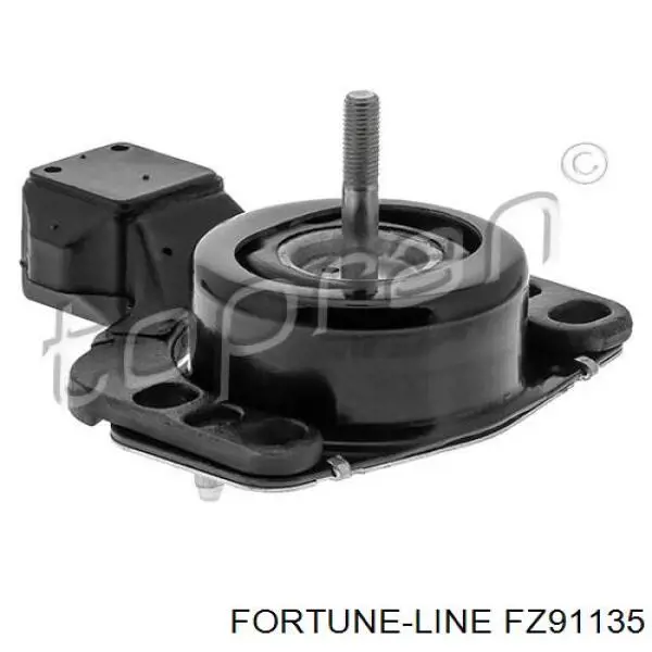 FZ91135 Fortune Line soporte de motor derecho