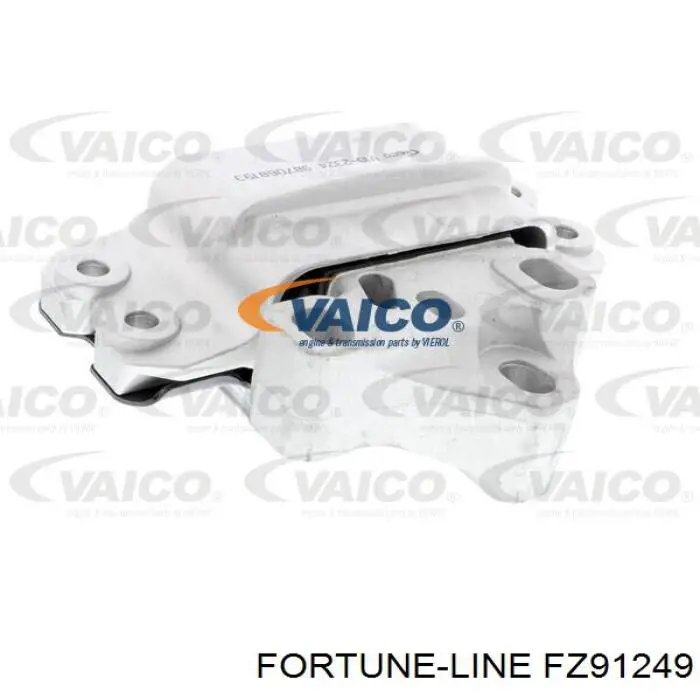 FZ91249 Fortune Line soporte motor izquierdo