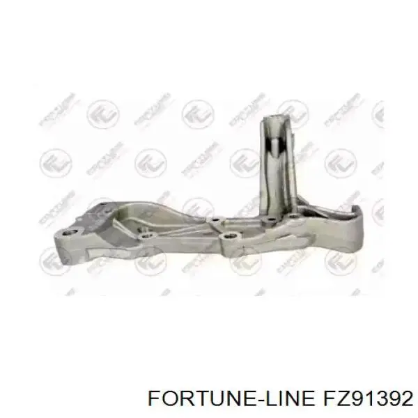 FZ91392 Fortune Line