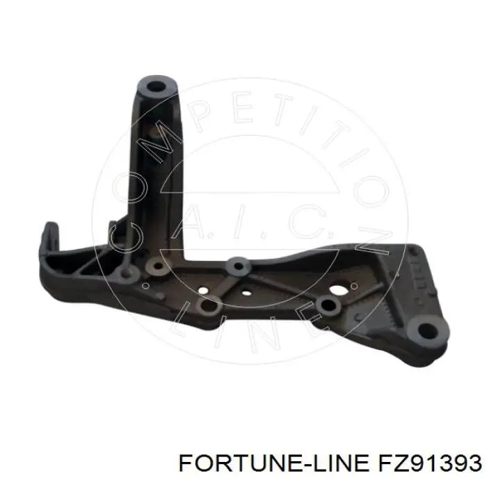 FZ91393 Fortune Line