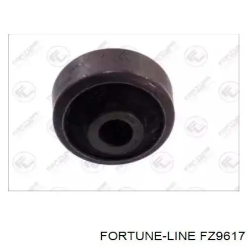FZ9617 Fortune Line