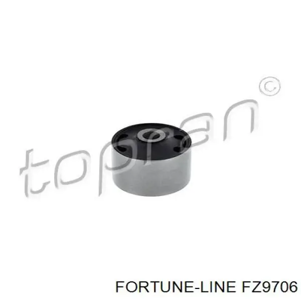 FZ9706 Fortune Line suspensión, cuerpo del eje trasero