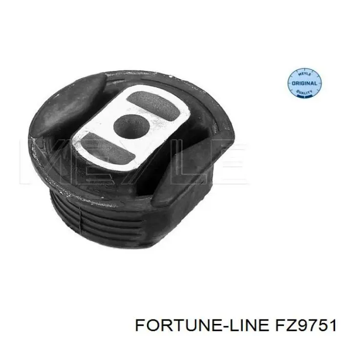 FZ9751 Fortune Line suspensión, cuerpo del eje trasero