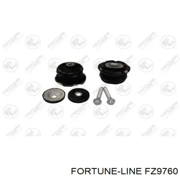 FZ9760 Fortune Line suspensión, cuerpo del eje trasero