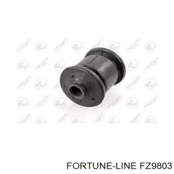 FZ9803 Fortune Line suspensión, brazo oscilante trasero inferior