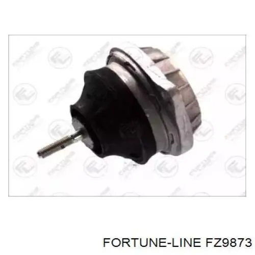 FZ9873 Fortune Line