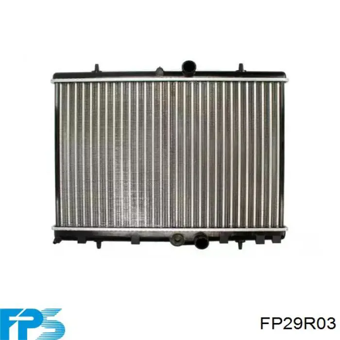 FP29R03 FPS tapa radiador