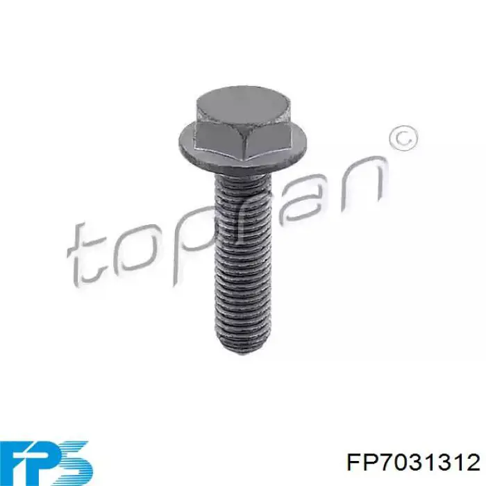 FP7031312 FPS Aleta delantera