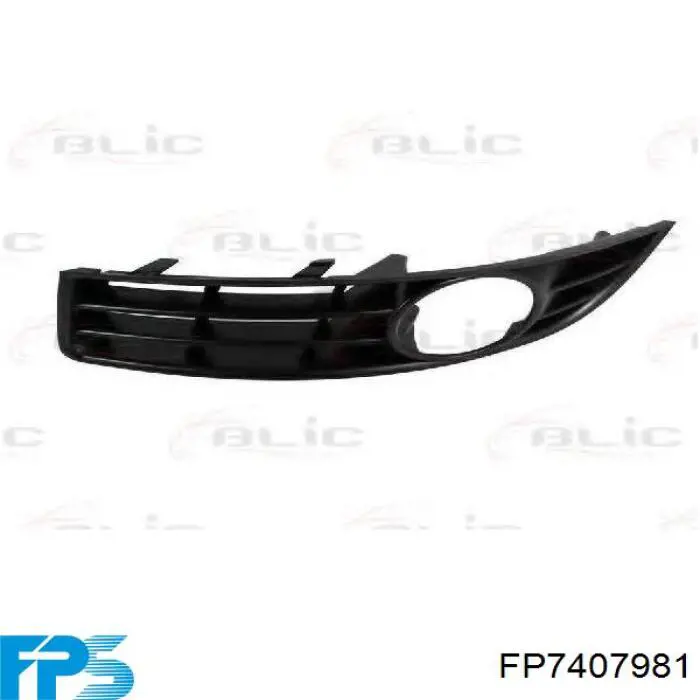 FP7407981 FPS Calandra