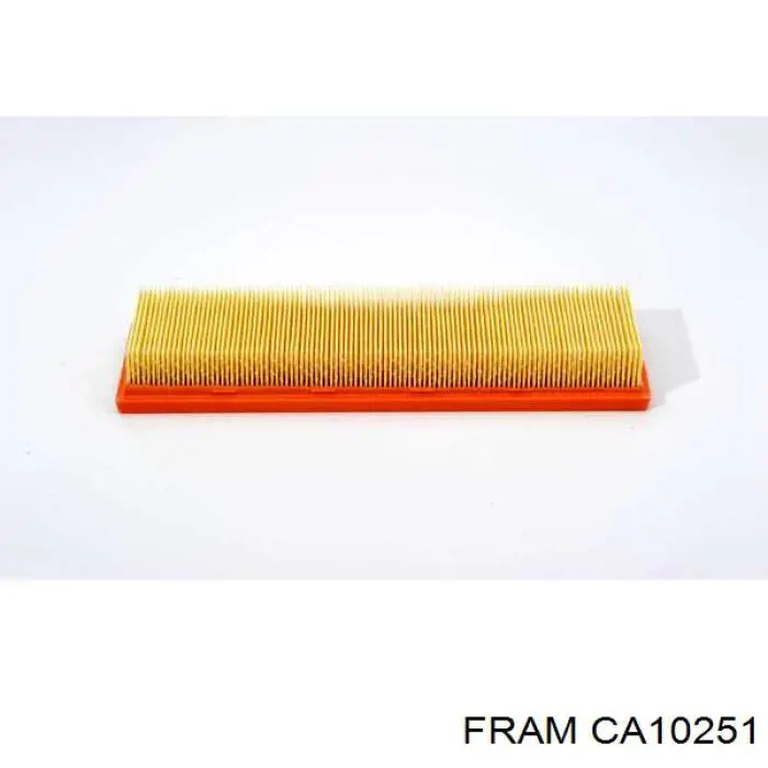 CA10251 Fram filtro de aire