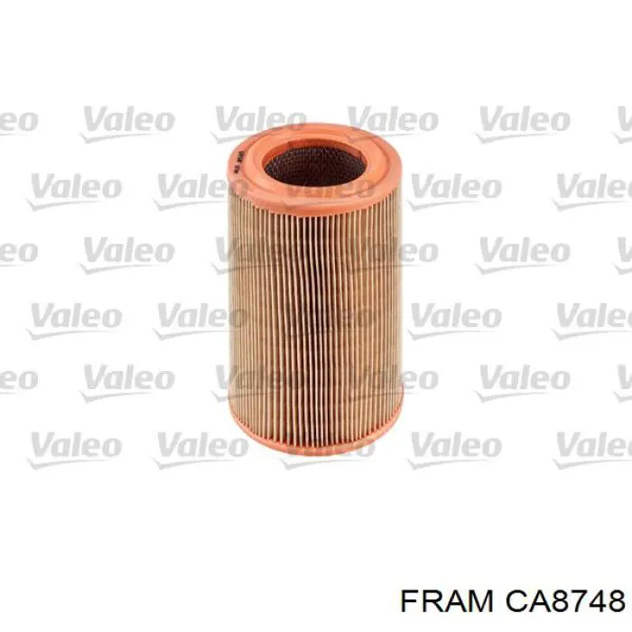 Filtro aire Peugeot/Citroen E147009