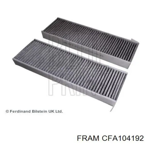 CFA104192 Fram Filtro antipolen