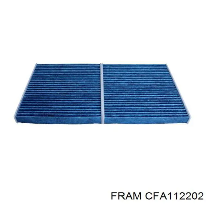 CFA112202 Fram Filtro antipolen