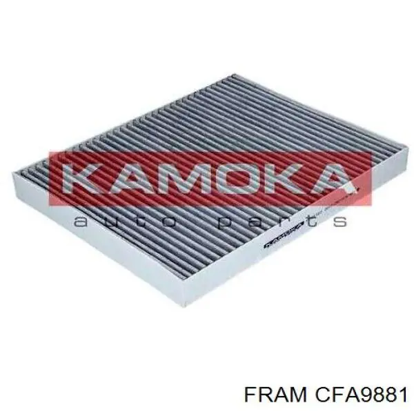 CFA9881 Fram