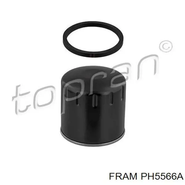 PH5566A Fram filtro de aceite