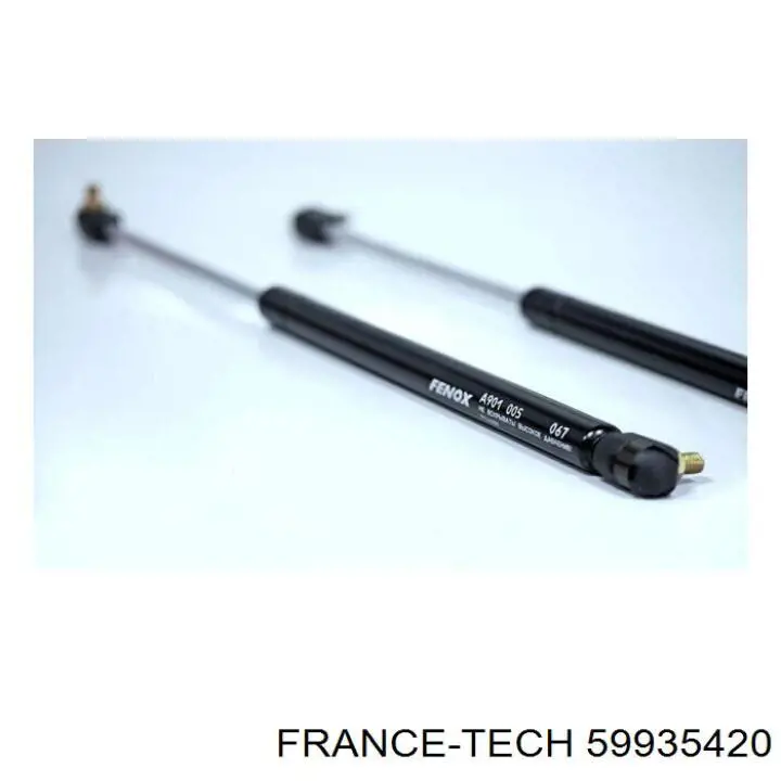 59935420 France-tech