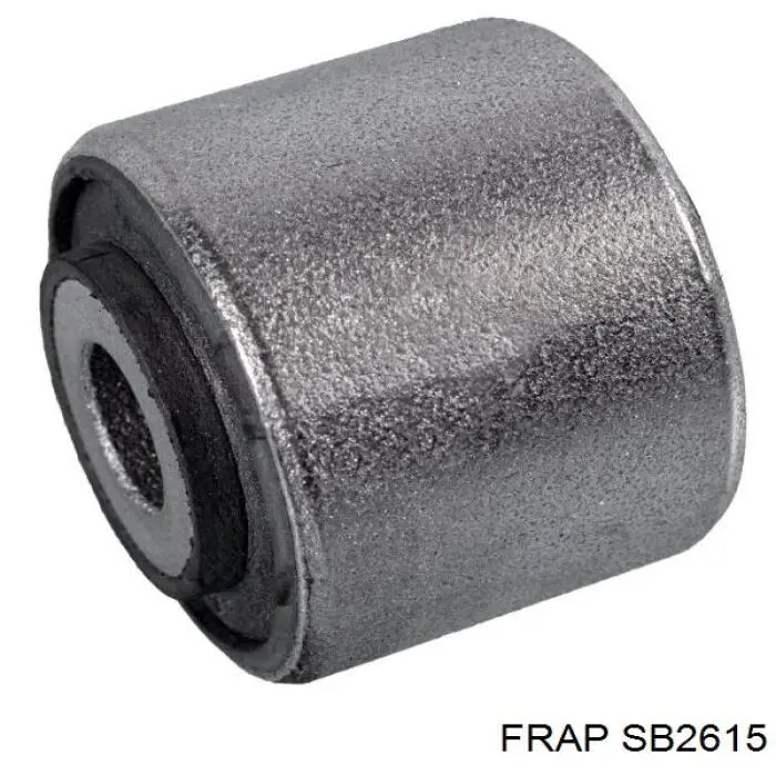 8E0407181B VAG Silentblock de brazo de suspensión delantero inferior