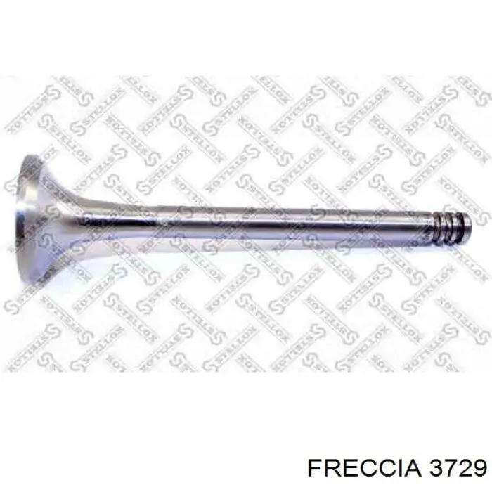 Comprar 3729 Freccia Válvula escape