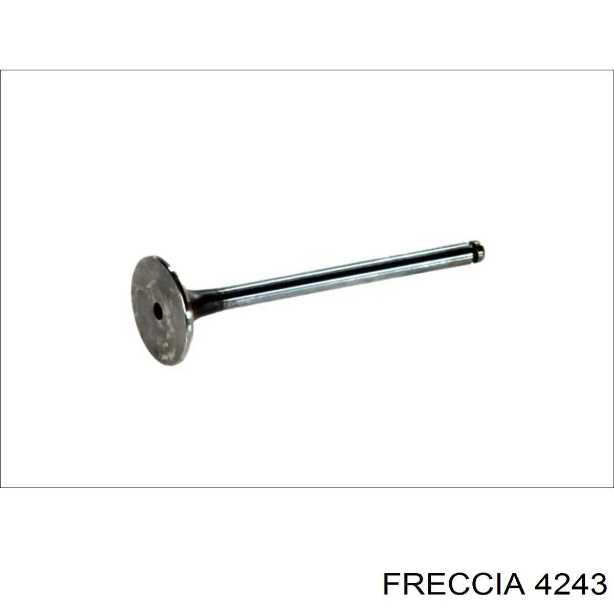 Válvula de admisión Freccia 4883 precio, desde 5,02 EUR