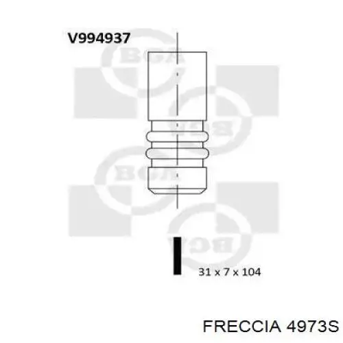 Válvula de admisión AMP/Paradowscy PREN024 precio, desde 4,79 EUR