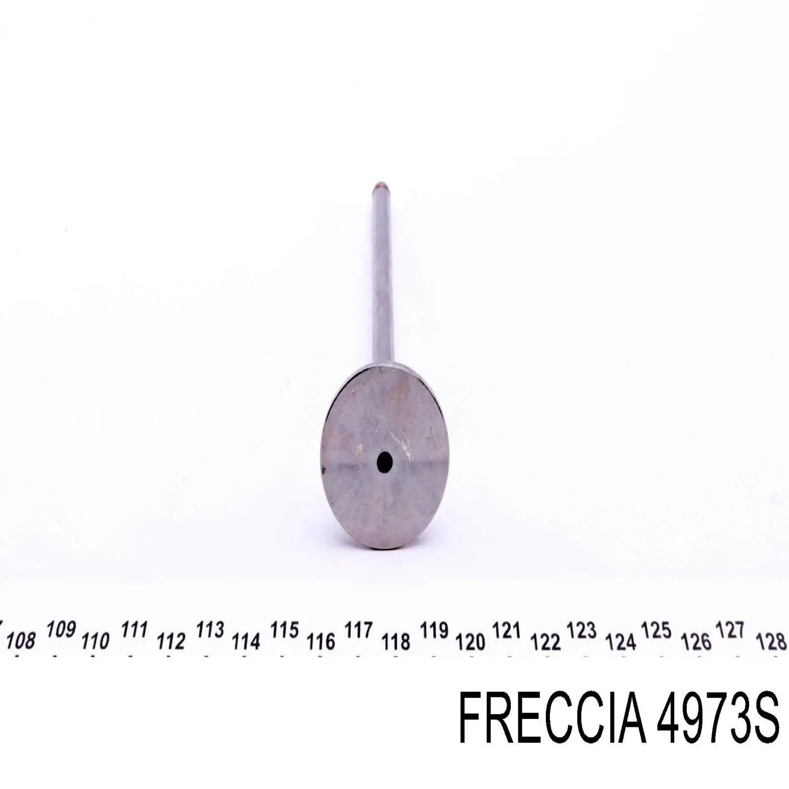 PREN024 AMP/Paradowscy Válvula de admisión