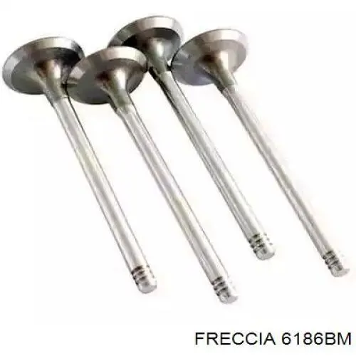 551868B Corteco Válvula de escape