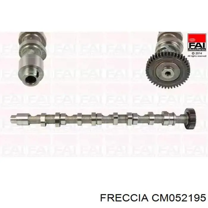 Árboles de levas Freccia CM052195 precio, desde 135,22 EUR