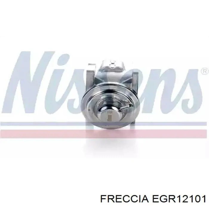 EGR Lucas LEV0029