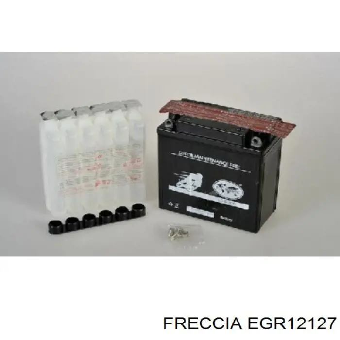 Comprar EGR12127 Freccia Enfriador de recirculación de gases de escape EGR