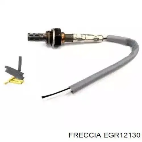 EGR12-130 Freccia válvula egr