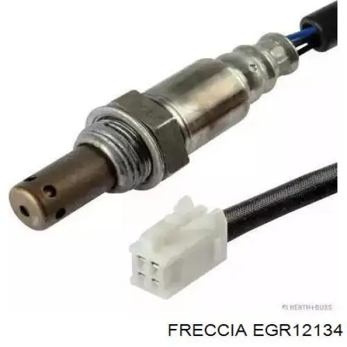 EGRAZ7073 Aisin Válvula EGR