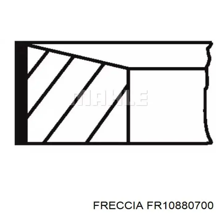FR10880700 Freccia