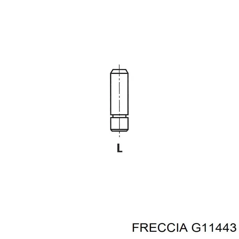 G11443 Freccia guía de válvula