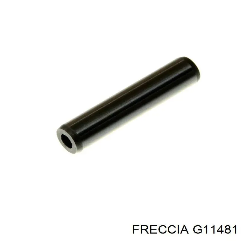 Comprar VG106700 Ipsa Guía de válvula