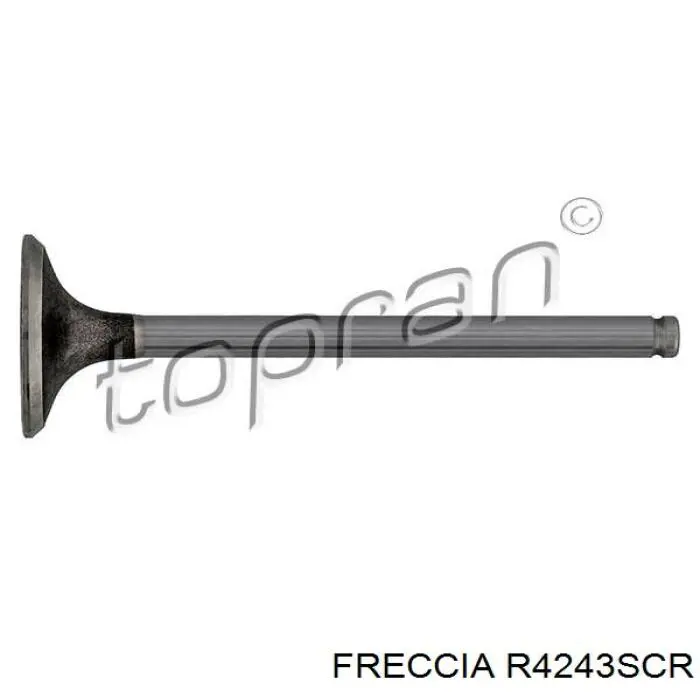 Comprar 4883 Freccia Válvulas de admisión